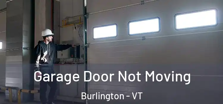  Garage Door Not Moving Burlington - VT